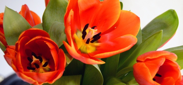 Поздравление А. Н. Епишина с Международным женским днем 8 Марта