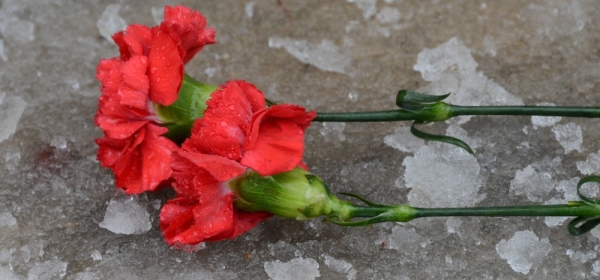 Соболезнование родным, близким, коллегам и соратникам Бориса Немцова