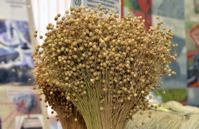 В Твери отметили День работника сельского хозяйства и перерабатывающей промышленности-10 В Твери отметили День работника сельского хозяйства и перерабатывающей промышленности-10