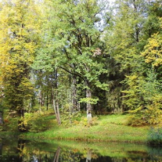 В Твери отметили День работников леса