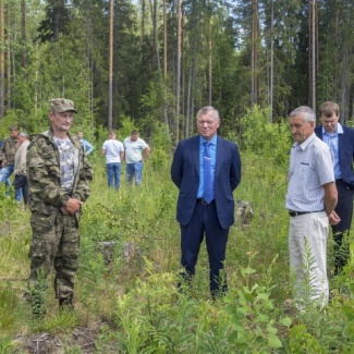 Леса Верхневолжья: богатство или проблема?