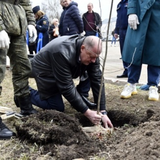 В Твери у академии ВКО заложена дубовая аллея