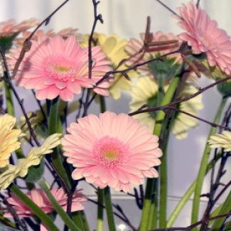 С Международным женским днем!