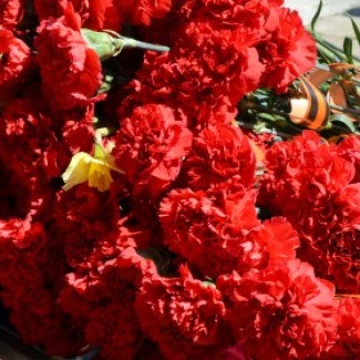 Андрей Епишин принял участие в акции «Помню! Горжусь!»