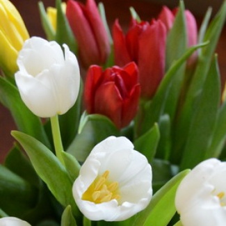 Поздравление председателя Законодательного Собрания Тверской области Андрея Епишина