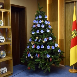 В Законодательном Собрании Тверской области стартовала акция «Ёлка желаний»