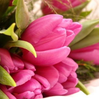 8 Марта – Международный женский день